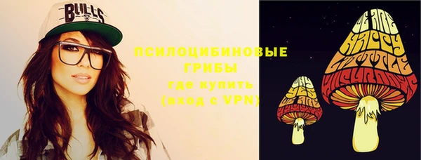 мдпв Осинники