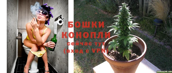 мдпв Осинники