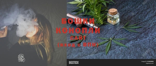 хмурый Болотное