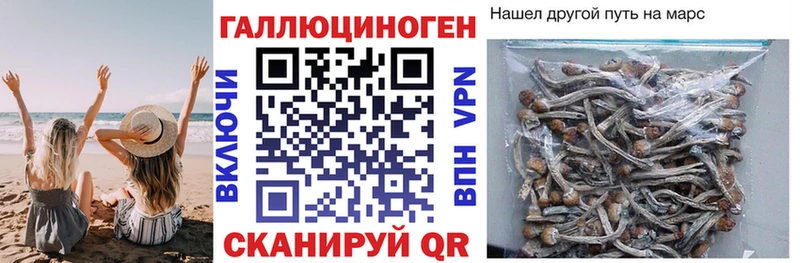 Галлюциногенные грибы мухоморы  даркнет сайт  Таштагол 