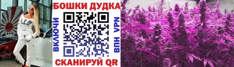 Бошки Шишки ГИДРОПОН  Таштагол 